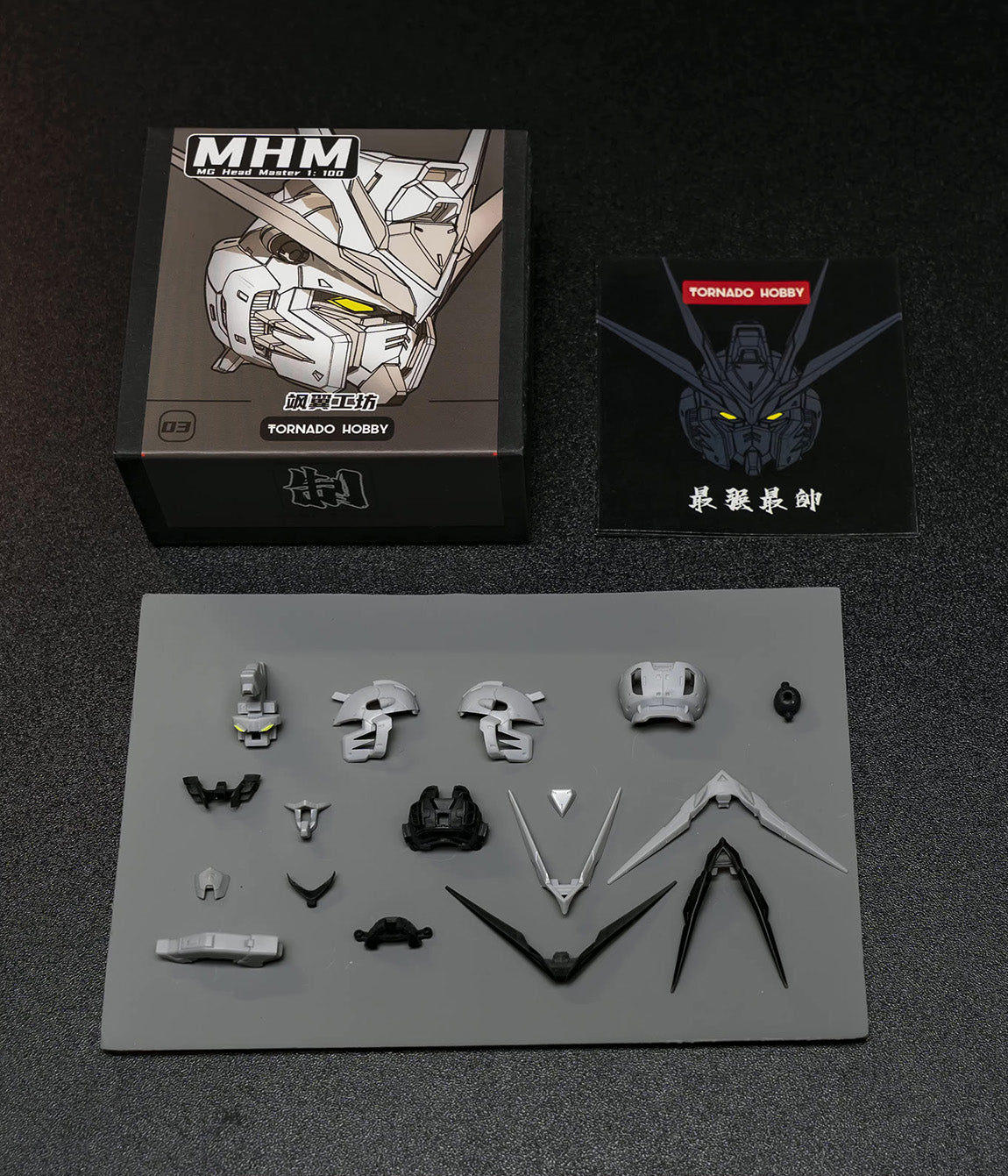 MG Strike Freedom Gundam Head GK Kit - Takara Model Studio